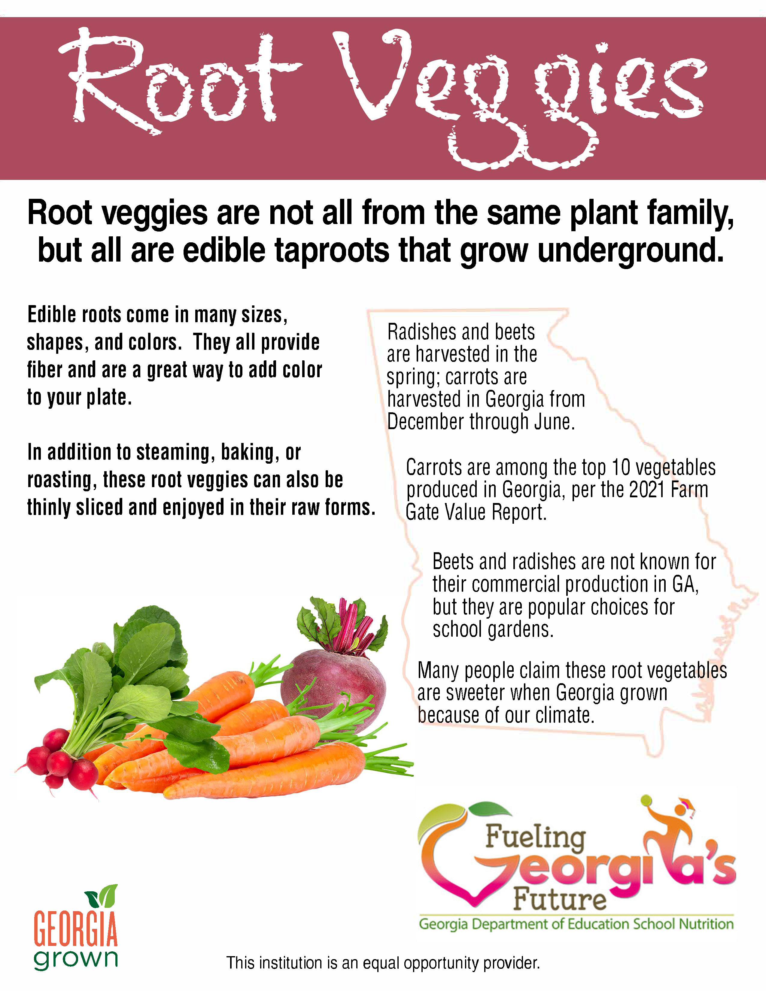 Root Vegetables Fact Sheet